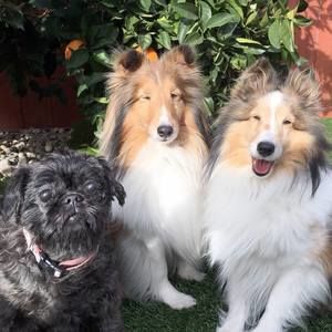 Meet your Posher, Sue